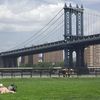 Thong Guy is Back in Fulton Ferry Park